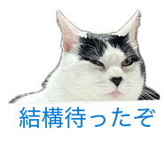 855688066
