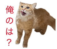 855688068