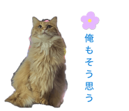 855688069