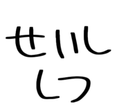 855688117