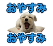 855688168