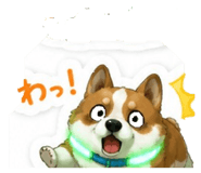 855688275