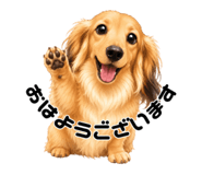 855688449