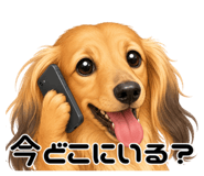 855688469