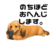 855688470
