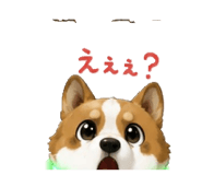 855688492