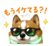 855688499