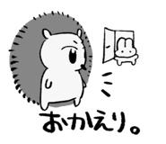 855688562
