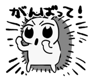 855688564