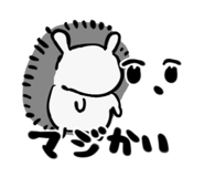 855688568