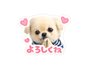 855688800
