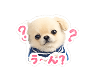 855688801