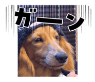 855688928