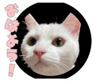 855689034