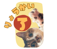 855689038