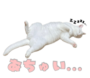 855689042