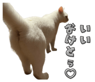 855689069