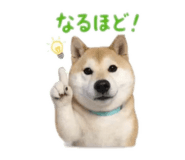 855689252