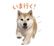 855689254
