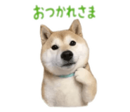 855689257