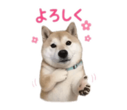 855689258