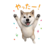 855689259