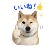 855689260