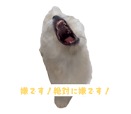 855689266