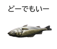 855689546