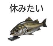 855689552