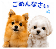 855690487