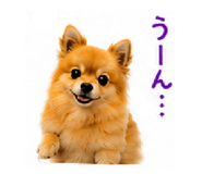 855690496