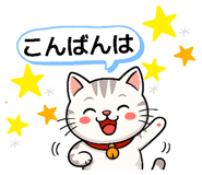 855690540