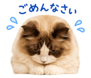 855690613