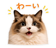 855690629
