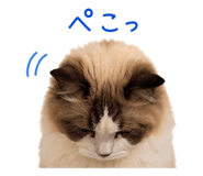 855690640