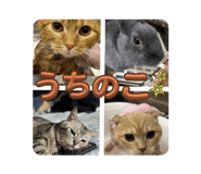 855690952