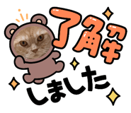 855690953