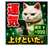 855691293