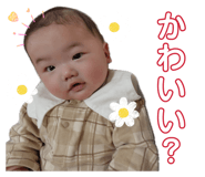855691791