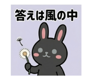 855691884