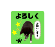 855692290