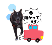 855692301