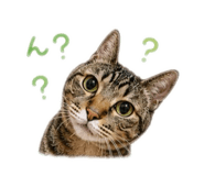 855692332
