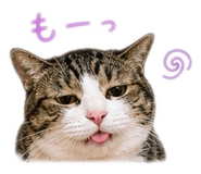 855692339