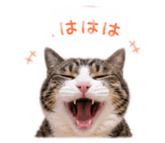 855692352