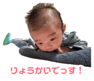855692511