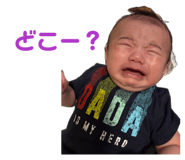 855692529