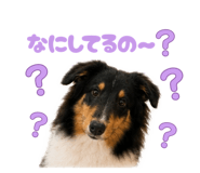 855692935