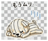 855692950